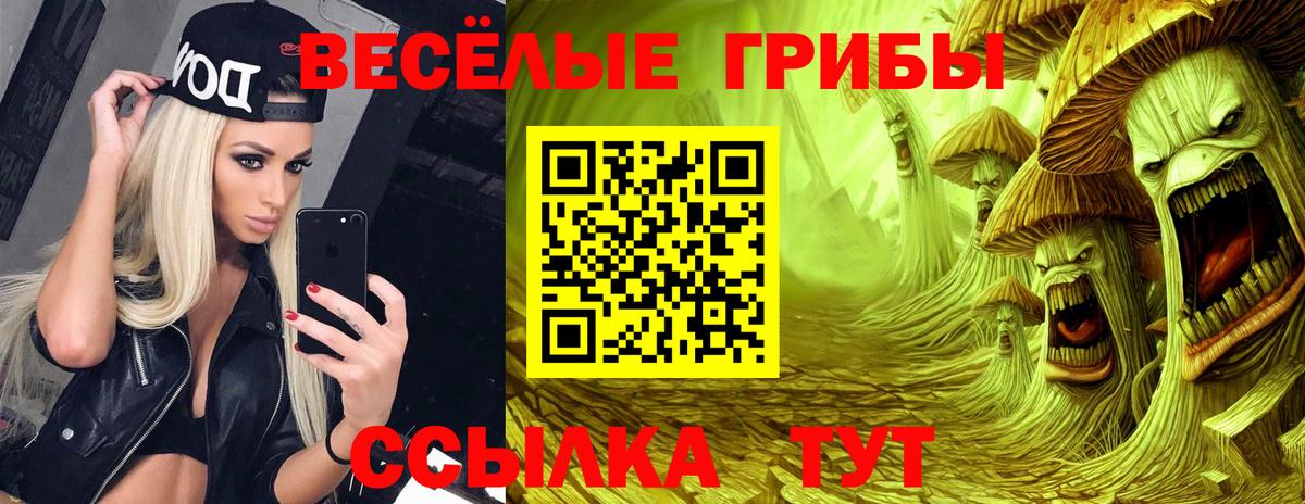 Псилоцибиновые грибы мицелий  Вход с VPN  Рузаевка  Псилоцибиновые грибы прущие грибы 